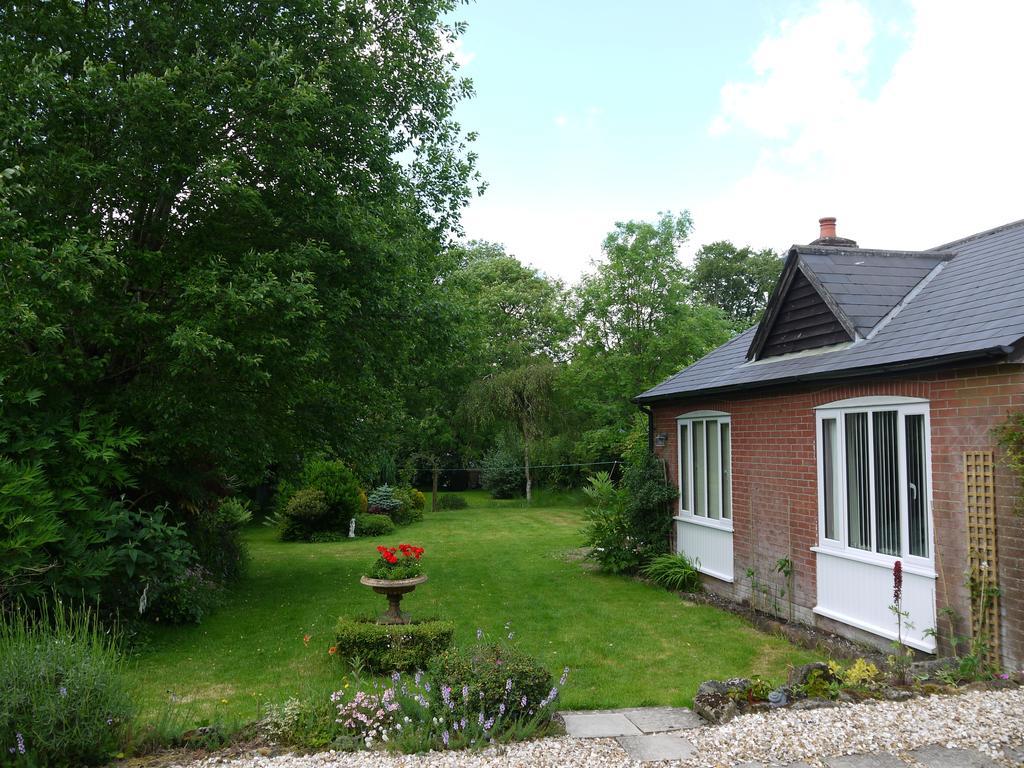 Bed and Breakfast Three Ivy Cross Shaftesbury Zimmer foto