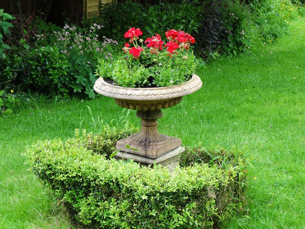 Bed and Breakfast Three Ivy Cross Shaftesbury Exterior foto
